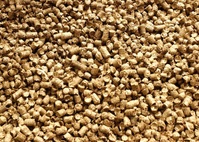 Stouten Fourage